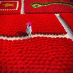 Hanoi: Dong Ky Carpentry Village or Hat & Incense Village - Who Will Love This Tour?