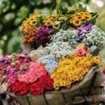 Hanoi Full-Day City Tour: Mausoleum, Temple, Pagoda & Lunch - Practical Tips for Making the Most of the Tour