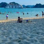 Hanoi - Halong Bay 1 Day PRIVATE TOUR: Cave, Kayak, Island, Lunch - Considerations and Tips