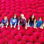 Hanoi Incense Village and Tam Coc Boat Trip Small Group Tour - Ninh Binh and Tam Coc: Land of Limestone and Legend