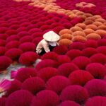 Hanoi, Ninh Binh and Ha Long 6 Day 5 Night Overnight Cruise Tour - Final Thoughts