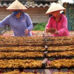 Hanoi Private Tour Discover Ancient Village & Traditional Crafts - Analyzing the Value