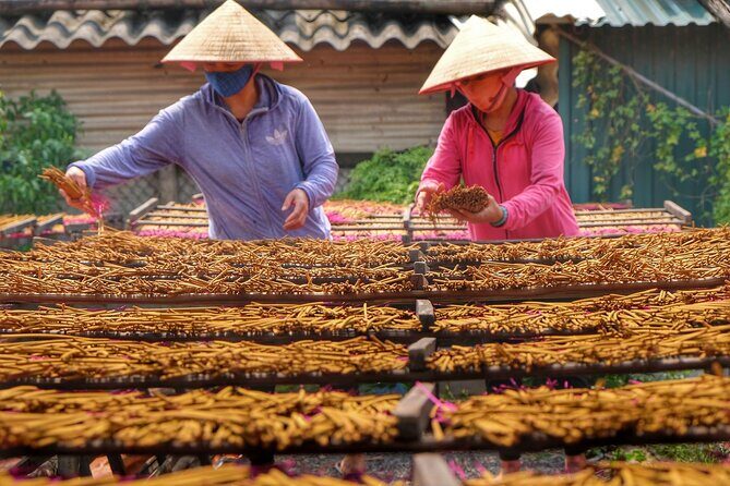 Hanoi Private Tour Discover Ancient Village & Traditional Crafts - Analyzing the Value
