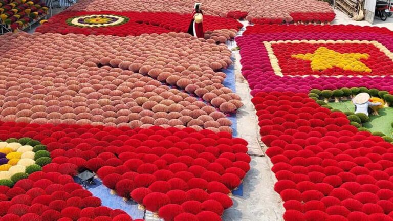 Hanoi: Tam Chuc Pagoda & B-52 Lake or Hat & Incense Village - The Route to Serenity and Culture: A Deep Dive into the Tour