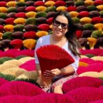 Hanoi: Thuy Ung Horn Comb Village or Hat and Incense Village - Exploring Thuy Ung Horn Comb Village: What You Can Expect