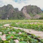 Hanoi to Ninh Binh Day Trip: Mua Cave, Trang An Boat Ride - Lunch - Why this tour offers great value for money