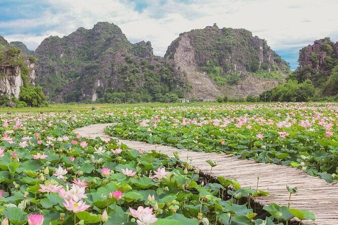 Hanoi to Ninh Binh Day Trip: Mua Cave, Trang An Boat Ride - Lunch - Why this tour offers great value for money