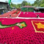 Hanoi Viet Phu Thanh Chuong or Incense Village & Hat Village - Why This Tour Offers Great Value