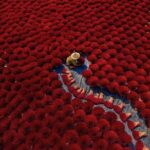 Hanoi: Wetland Reserve or Incense Village & Hat Village - An In-Depth Look at the Tour Experience