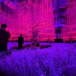 Hanoi: X Space Immersive Digital Art Experience Entry Ticket - Why Travelers Love It (Based on Reviews)