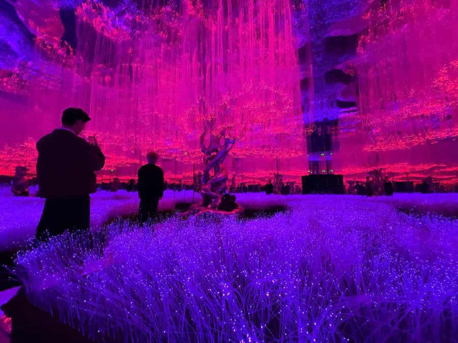 Hanoi: X Space Immersive Digital Art Experience Entry Ticket - Why Travelers Love It (Based on Reviews)