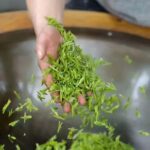 Hanzghou H-quality daytour: Xixi Wetland & Longjing Village - Why Choose This Tour?