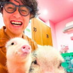 Harajuku Highlights: Where Tradition Meets Tokyo Pop - Who Will Love This Tour?