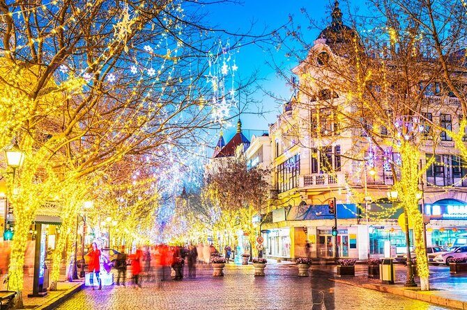 Harbin Cultural Tour at Zhongyang Dajie to Baluoke with Dinner - Who Should Consider This Tour?