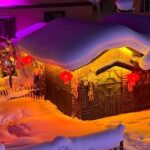 Harbin: Snow Town Day Trip with Sleigh Ride & Snowmobile - Authenticity and Value: Who Will Love This Tour?