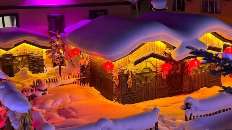 Harbin: Snow Town Day Trip with Sleigh Ride & Snowmobile - Authenticity and Value: Who Will Love This Tour?