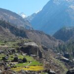 Harkidun Trek Explore the Authentic Himalayas - Day 3: Trek to Har Ki Dun Valley