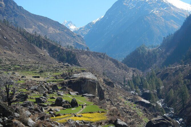 Harkidun Trek Explore the Authentic Himalayas - Day 3: Trek to Har Ki Dun Valley