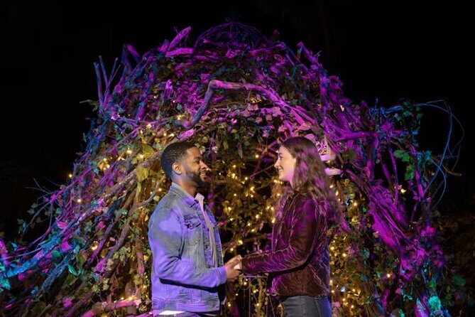 Harry Potter A Forbidden Forest Experience in Brisbane Australia - What Makes It Special