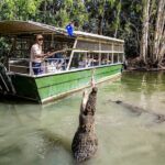 HARTLEY'S CROCODILE TRANSFER between Port Douglas & Hartley's Crocodile (return) - An In-Depth Look at the Hartleys Crocodile Transfer
