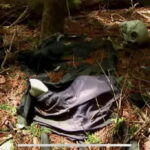 Haunted Hospital for Bravest Ghost Hunters & Silent Forest - Exploring Japan’s Haunted Side: What to Expect