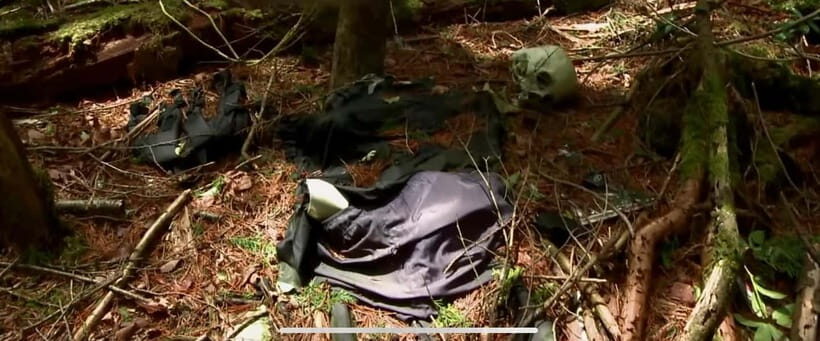 Haunted Hospital for Bravest Ghost Hunters & Silent Forest - Exploring Japan’s Haunted Side: What to Expect