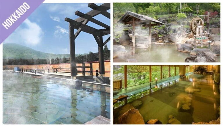 Have Fun in HOKKAIDO Pass (1 Week Free Pass) - Navigating the Itinerary and Logistics