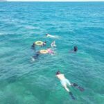 Havelock Island: Tribe Gate Guided Snorkeling Tour - What to Expect: Step-by-Step of the Experience