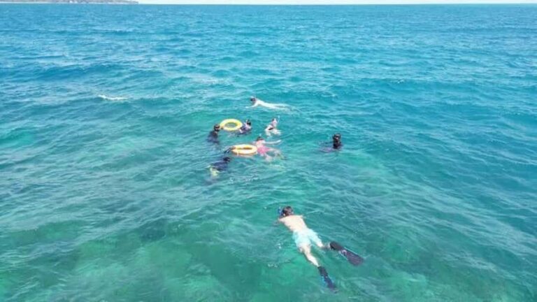 Havelock Island: Tribe Gate Guided Snorkeling Tour - What to Expect: Step-by-Step of the Experience