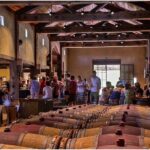 Hawke's Bay/Napier sight seeing,Temata peak,Wine Tasting - Authentic Insights from Past Travelers