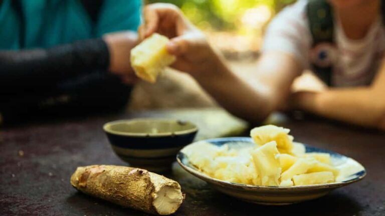 HCM: Explore Cu Chi Tunnels, Shooting, Tasting Steam Cassava - Exploring the Cu Chi Tunnels: What It’s All About