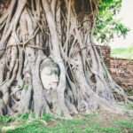 Heritage Tour in Ayutthaya by Cruise - What Travelers Appreciate Most