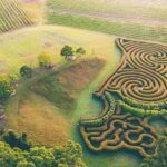 Herons Creek: Bago Maze Entry Ticket - The Experience: What to Expect at Bago Maze