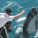 Hervey Bay: Half-Day Whale-Watching Cruise - Who Would Love This Tour?
