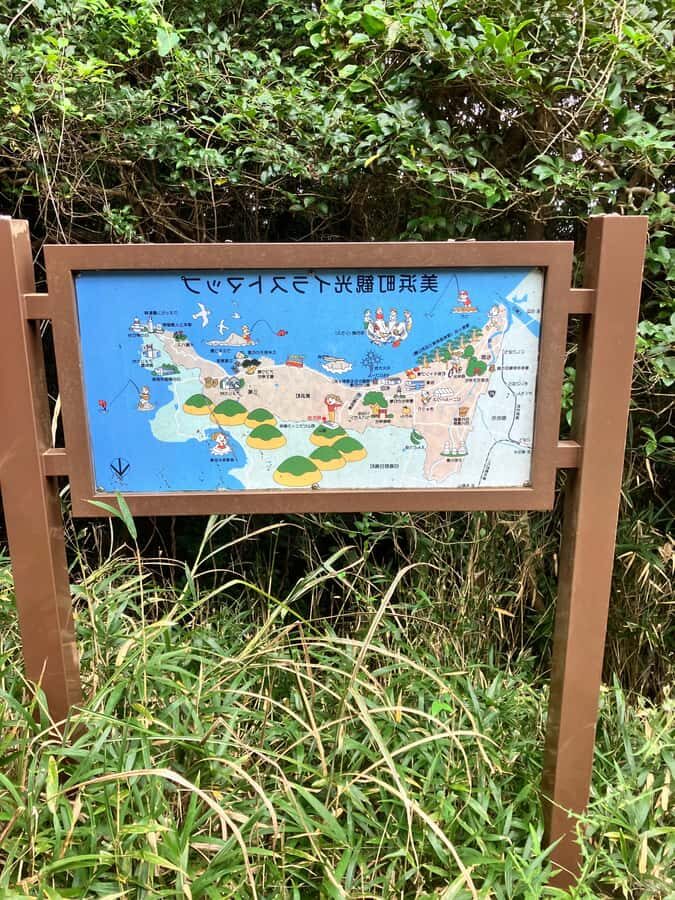 Hidaka, Wakayama: Butterfly Conservation, Hike, Hot Spring - Practical Considerations and Tips