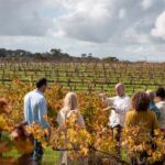 Hidden Gems Margaret River: Authentic Wine & Farm Experience - Final Thoughts: Is It Worth It?
