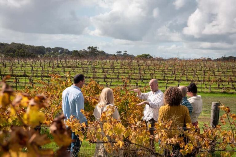 Hidden Gems Margaret River: Authentic Wine & Farm Experience - Final Thoughts: Is It Worth It?