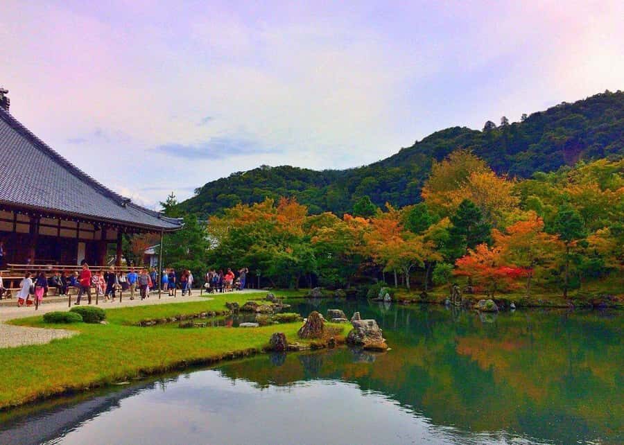 Hidden Kyoto- Countryside & Local Life - Private Car Tour - Uji and Byodo-in Temple: A Cultural and Culinary Highlight
