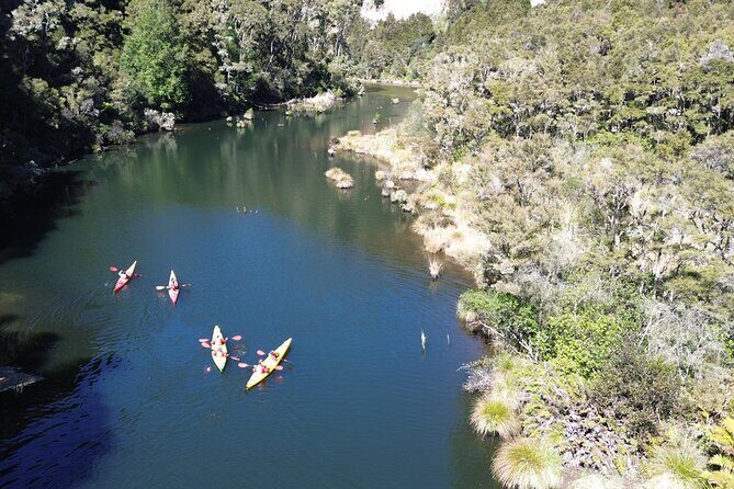 Hidden Lake Kayak Tour in Taups Secret Gem - The Bottom Line