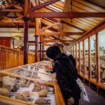 Hidden Thura Otago Museum Experience - What Makes It Special?