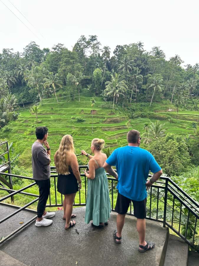 Hidden Ubud All-inclusive: Temple, Waterfalls & Jungle Swing - What Makes This Tour Stand Out?