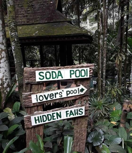 Hidden Valley Springs Alaminos with Lunch - Who Will Love This Tour?