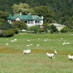 High Country Discovery Tour from Queenstown - What Travelers Say Based on Actual Experiences