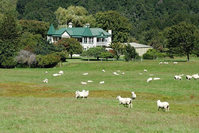 High Country Discovery Tour from Queenstown - What Travelers Say Based on Actual Experiences