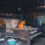 Highlight of Bali Tour - Things to Keep in Mind