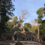 Highlights of Angkor Wat, Ta Prohm & Angkor Thom - Practical Insights and Tips