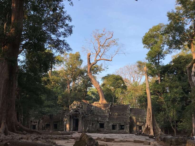 Highlights of Angkor Wat, Ta Prohm & Angkor Thom - Practical Insights and Tips