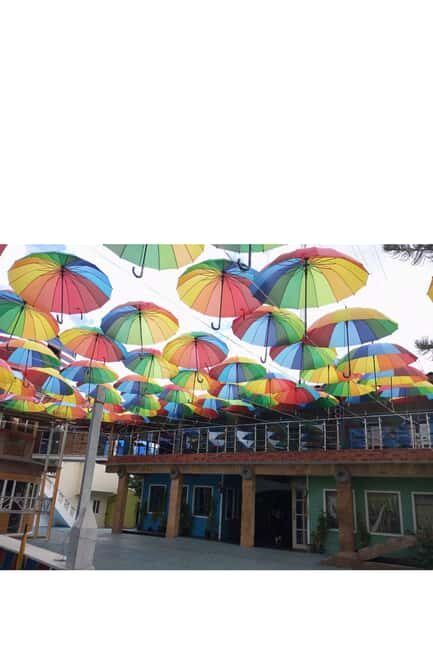 Higuey discovery, coffee and cocoa tasting from punta cana - Transportation, Guides, and Practicalities