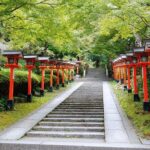 Hike and explore the Kurama and Kibune ancient Paths - Practical Details: What to Expect