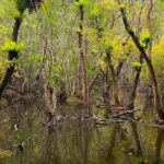 Hike, Bike, and Kayak Through the Heart of Cat Ba National Park - The Experience: What You’ll Love